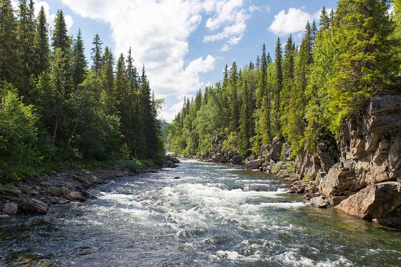 Just One Third Of The Worlds Longest Rivers Remain Free Flowing