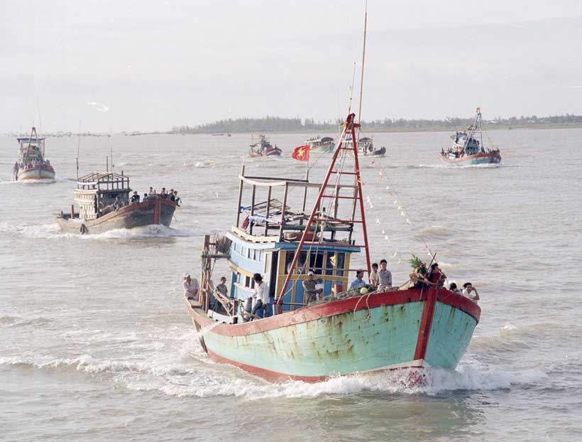 Vietnam Fisheries Brace for EU Yellow Card Review - Modern Diplomacy