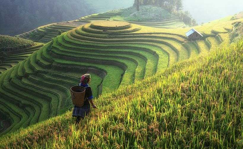 China: Developing Green Finance in Agriculture - Modern Diplomacy
