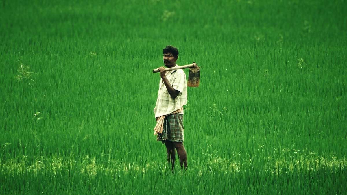 Indian Democracy in Retreat: A Case for the Indian Farmers - Modern Diplomacy