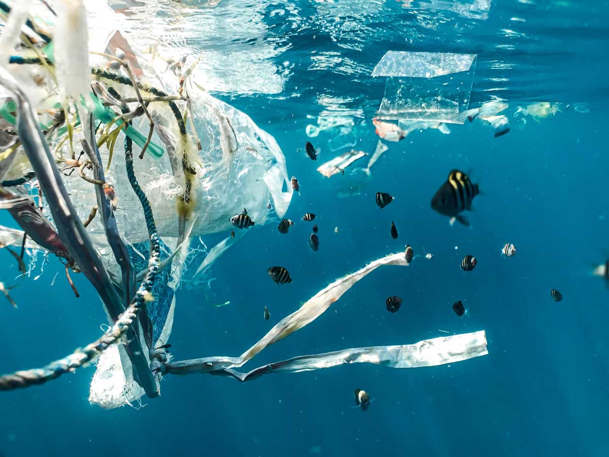 Beyond the Surface: The Urgency of Addressing Plastic Pollution in Our  Oceans - Modern Diplomacy