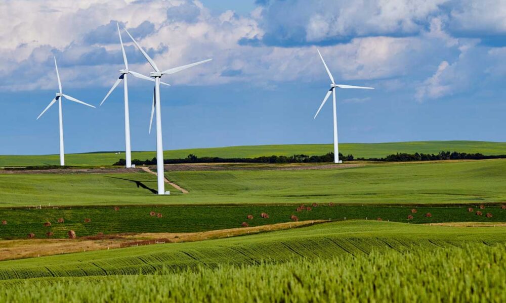 How wind power is transforming communities in Viet Nam - Vimarsana News