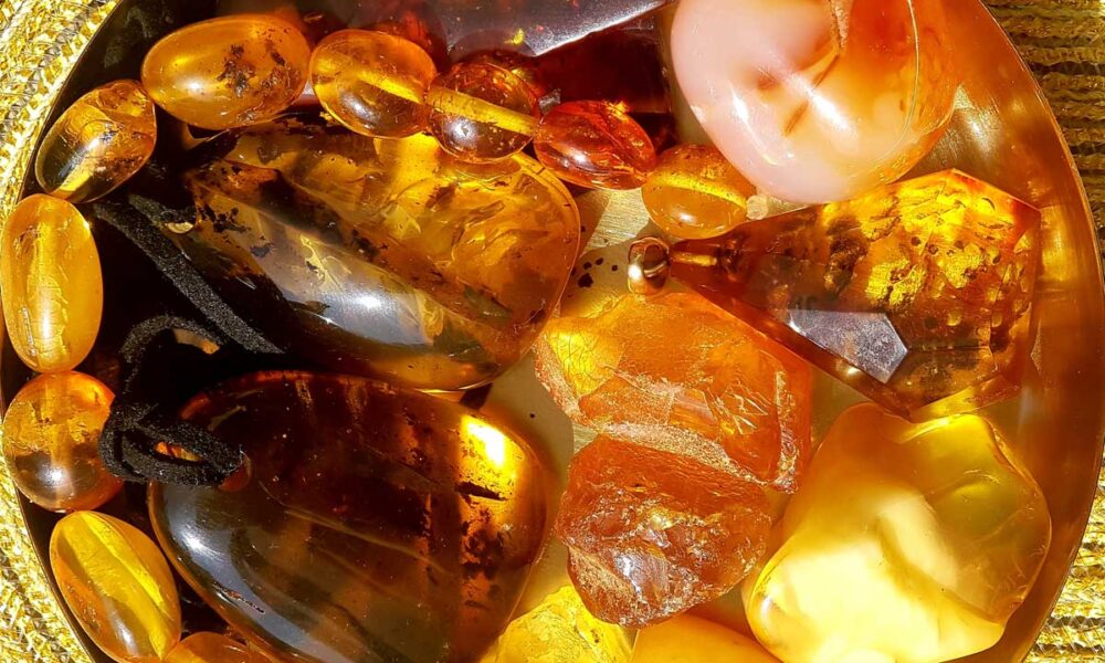 The Thrill of Amber – Germany's Historical East – A Plea for Humanity - Vimarsana News