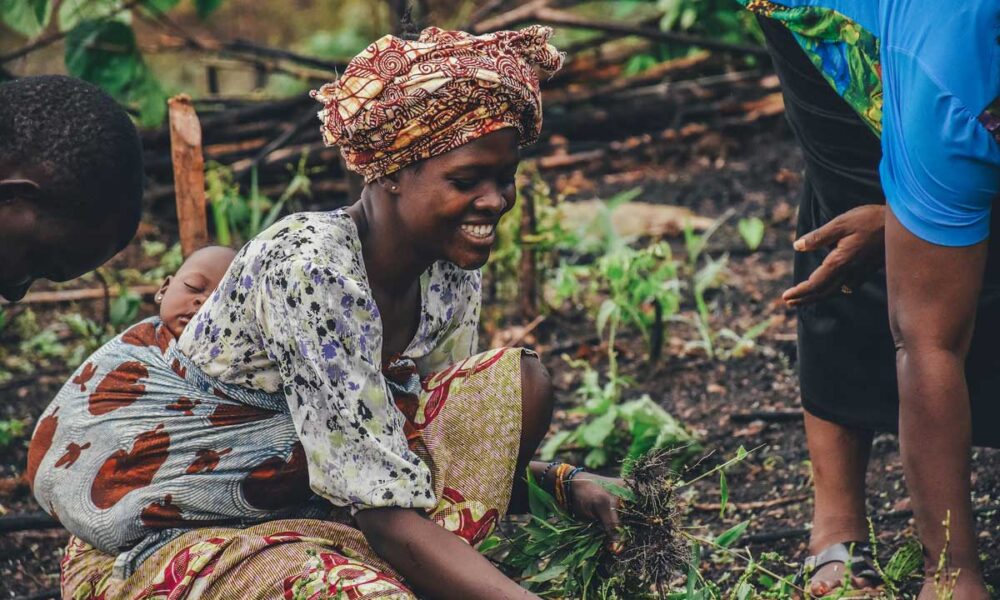 Can Africa Prioritize And Address Its Food Security Challenges? - Vimarsana News