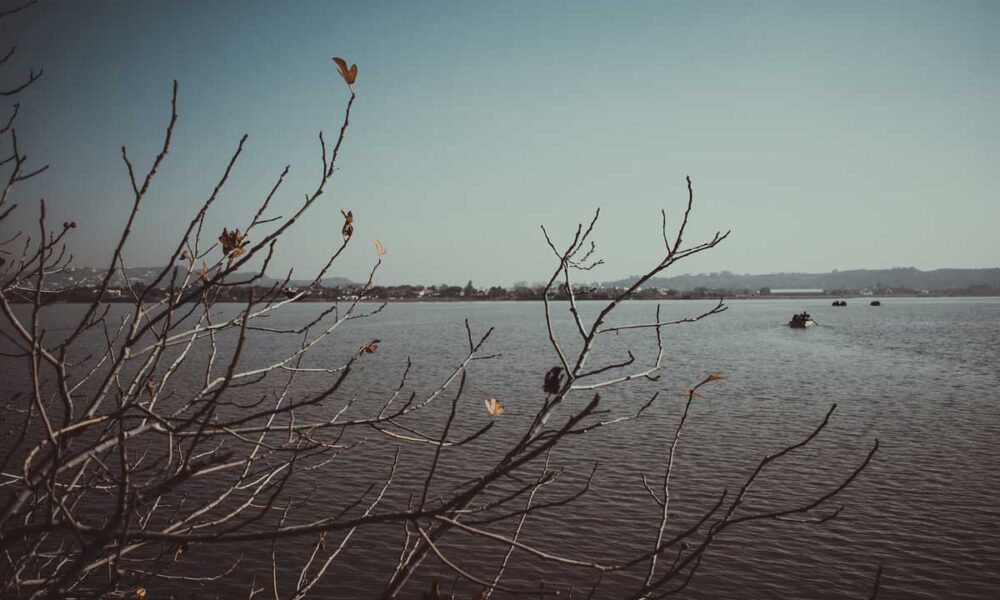 Climate Change challenging South Asia: A way forward to Adaptation and Mitigation - Vimarsana News