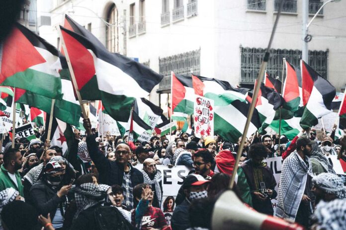 palestine-gaza